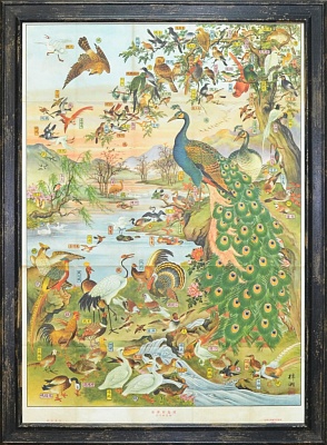 Оформить в багет плакат. Птицы. Китайский плакат